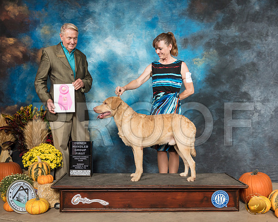 Chesapeake Bay Retriever #5 Sun OHG1 Judge Christopher Neale__SR_0257_Humble2019-HR3