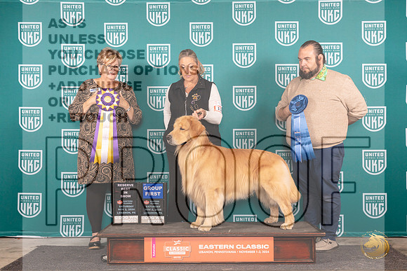 Golden Retriever # RBIS Judge Kathy Russell__JP_2193_UKCEastern_2024_HR3