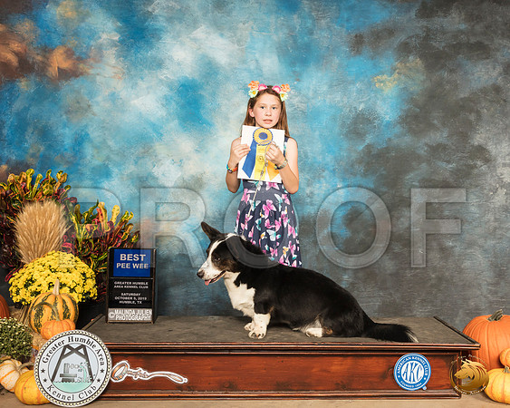Pee Wee Cardigan Welsh Corgi__SR_9846_Humble2019-HR3