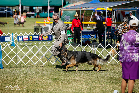 _JJ_1243-AlamogordoOct2014-HR3