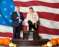 Poodles Toy #6 Sat WB NC Stuart Robin Judge Mr Richard H Mullen