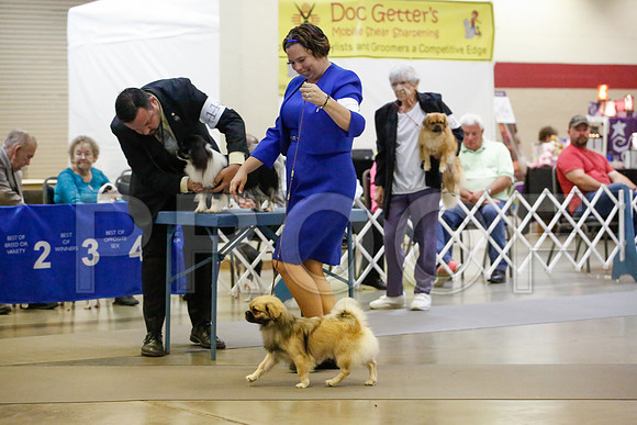 _JJ_0105-AmarilloSept2014-HR3