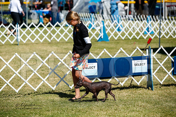 _JJ_3742-AlamogordoOct2014-HR3
