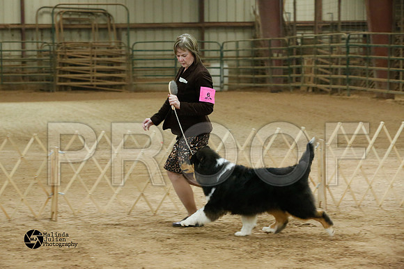Col-0359-HR-GrgTwnFeb14