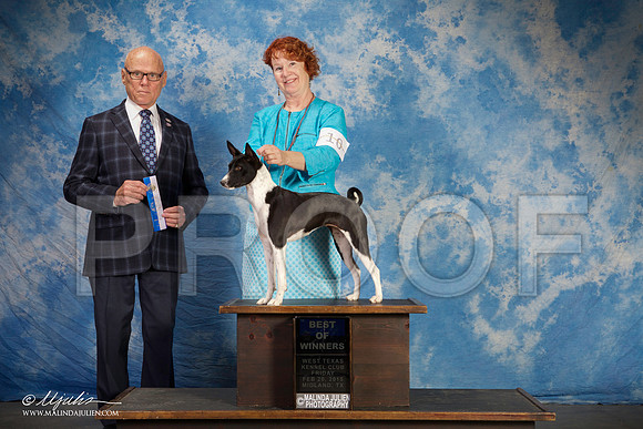SS2_0654-BeltonJan2015IABCA-HR3
