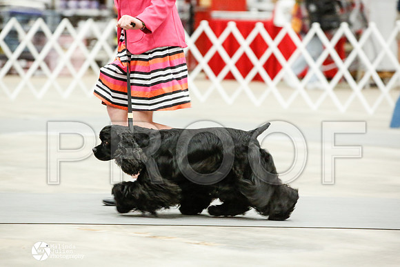 _JN_1164-AblnMay2014-web