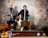 Australian Shepherd #18 Sat RWB Judge Donnelle Richards