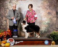 Australian Shepherd #6 Sat BOW Judge Donnelle Richards