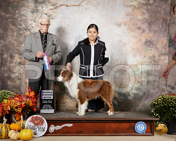 Australian Shepherd #18 Sat RWB Judge Robert Frost__SR_0424-Cntn2019-HR3