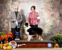 Australian Shepherd #6 Sat BOW Judge Robert Frost
