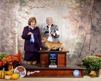 Dachshung Long Coat #7 Sat BOW Judge Donnelle Richards