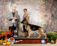 German Shepherd Dog #10 Sat BOB NCh Judge Robert Frost