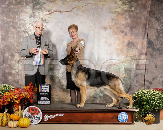 German Shepherd Dog #10 Sat BOB NCh Judge Robert Frost__SR_0484-Cntn2019-HR3