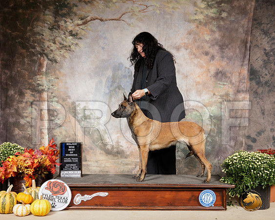 Belgian Malinois #8 Sat BOW Maj Judge Donnell Richards__SR_0512-Cntn2019-HR3