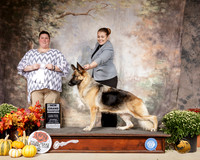 German Shepherd Dog #6 Sat NGrCh
