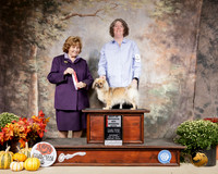 Tibetan Terrier #6 Sat BOS Judge Donnelle Richards