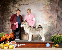 Alaskan Malamute #8 Sat OHG1 Judge Del Richards