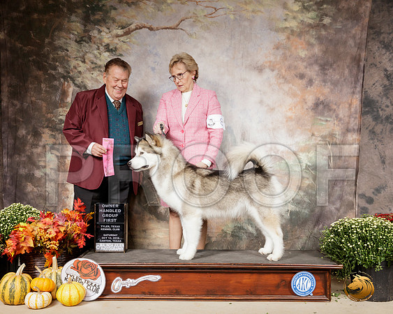 Alaskan Malamute #8 Sat OHG1 Judge Del Richards__SR_0567-Cntn2019-HR3