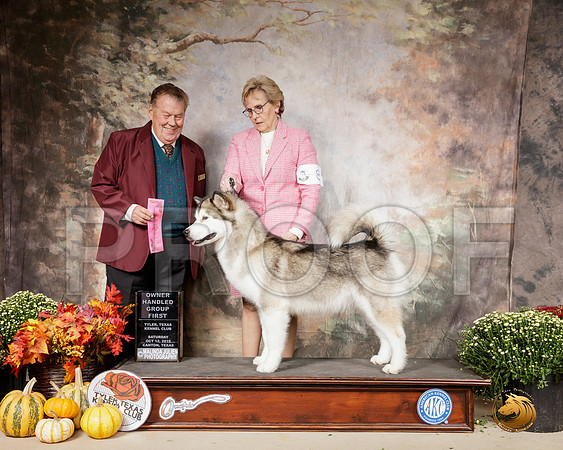 Alaskan Malamute #8 Sat OHG1 Judge Del Richards__SR_0568-Cntn2019-HR3