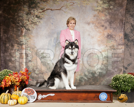 Alaskan Malamute Sat Custom__SR_0586-Cntn2019-HR3