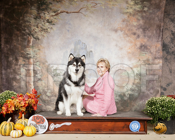 Alaskan Malamute Sat Custom__SR_0594-Cntn2019-HR3