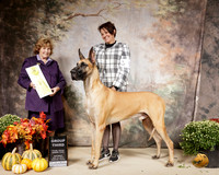 Great Dane #5 Sat G3 Judge Donnelle Richards