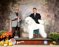 Poodle Std #9 Sat BOS Judge Robert Frost