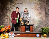 Norwich Terrier #5 Sat OHG2 Judge Del Richards