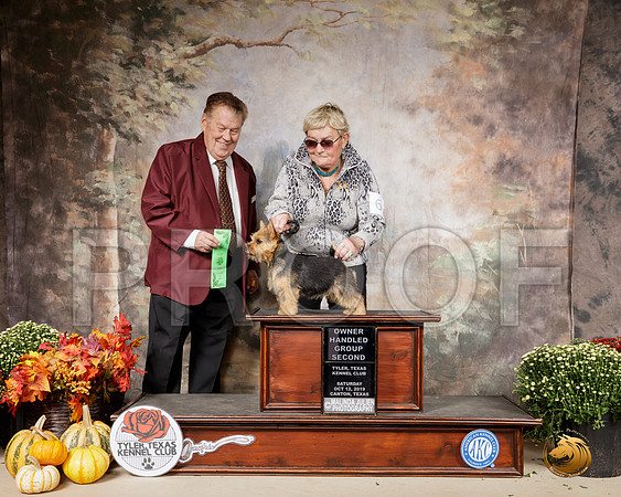 Norwich Terrier #5 Sat OHG2 Judge Del Richards__SR_0631-Cntn2019-HR3
