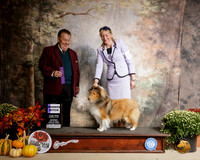 Shetland Sheepdog #10 Sat WB Judge Del Richards