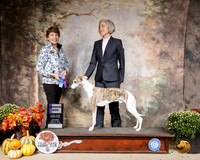 Whippet #5 Sat WD Judge Sue Goldberg