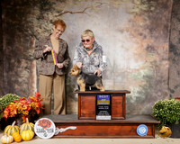 Norwich Terrier #5 Sat BOB Judge Pat Hastings