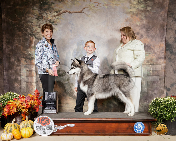 Alaskan Malamute #J6 Sat NovJr Judge Sue Goldberg__SR_0637-Cntn2019-HR3