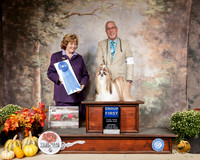 Shih Tzu #7 Sat G1 Judge Donnell Richards