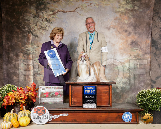 Shih Tzu #7 Sat G1 Judge Donnell Richards__SR_0645-Cntn2019-HR3