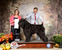 Bouvier des Flandres #5 Sat G4 Janet Turnage Nahikian