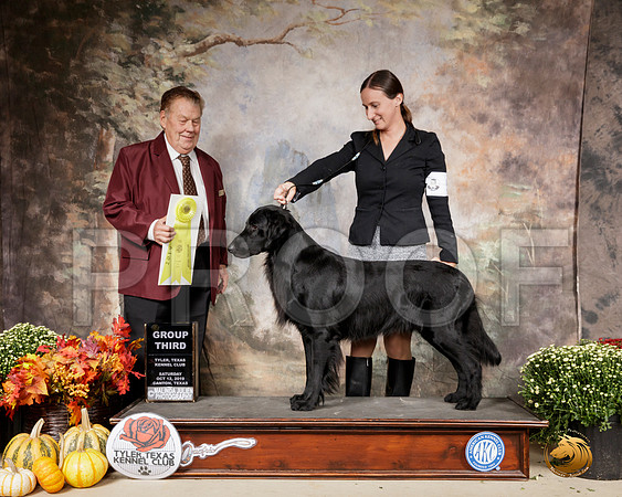 Flat Coated Retriever #5 Sat G3 Judge Del Richards__SR_0725-Cntn2019-HR3