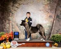 Pee Wee Akita