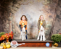 Pee Wee Bedlingtons