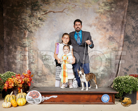 Pee Wee Boston Terrier__SR_0700-Cntn2019-HR3