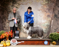 Tibetan Terrier #10 Sat BOS Maj Judge Robert Frost