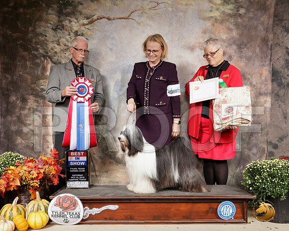 Tibetan Terrier #5 Sat BIS Judge Robert Frost__SR_0750-Cntn2019-HR3