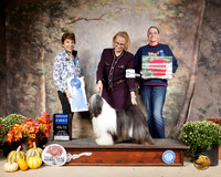 Tibetan Terrier #5 Sat G1 Judge Sue Goldberg
