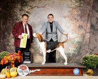 Treeing Walker Coonhound #6 Sun G3 Judge Del Richards