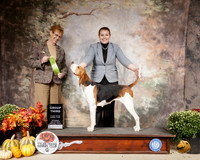 Treeing Walker Coonhound #6 Sun G3 Judge Pat Hastings