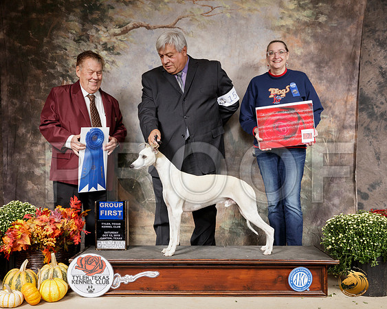 Whippet #15 Sat G1 Judge Del Richards__SR_0676-Cntn2019-HR3
