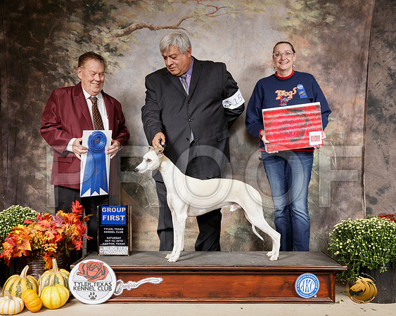 Whippet #15 Sat G1 Judge Del Richards__SR_0675-Cntn2019-HR3