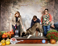 Alaskan Malamute #12 Sun BOS WB Judge Gena Box Young