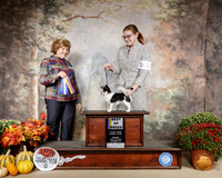 Chihuahua Long Coat #5 Sun BOB Judge Donnell Richards