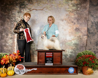 Chinese Crested #5 Sun G2 Judge Pat Hastings